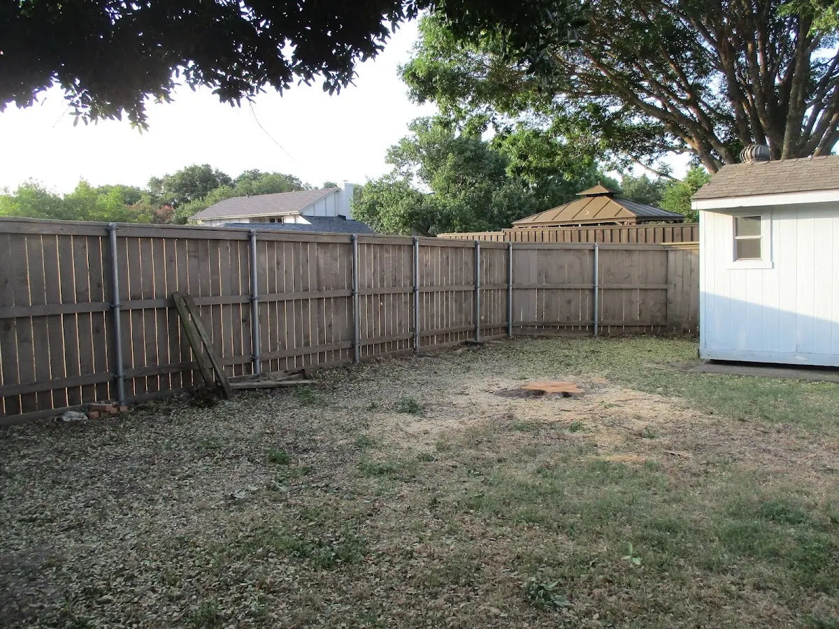 Cleared yard after professional tree removal in Ono